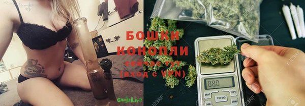 молекула духа Аркадак