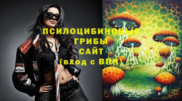 мескалин Арсеньев