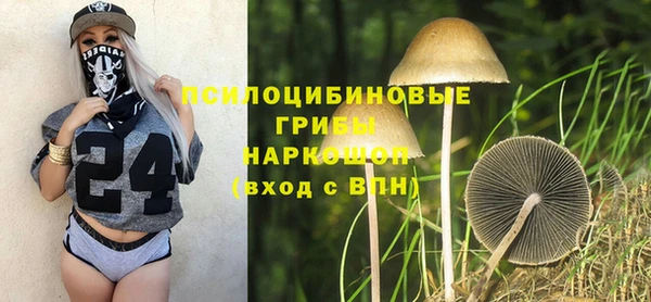 молекула духа Аркадак