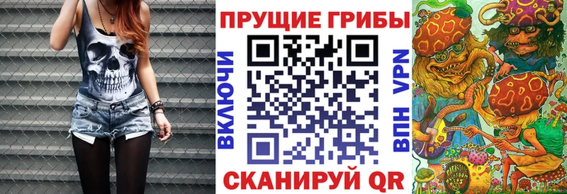 гидра как войти  продажа наркотиков  Рыльск  Псилоцибиновые грибы прущие грибы 